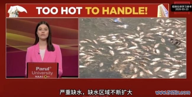 大V:印度电力被48度高温击穿 制造业好意思梦乡灭
