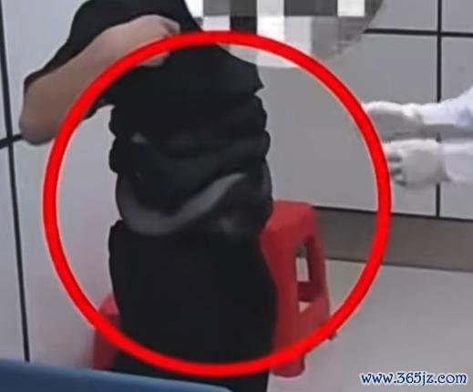 男人裤子口袋藏活蟒蛇进境被查