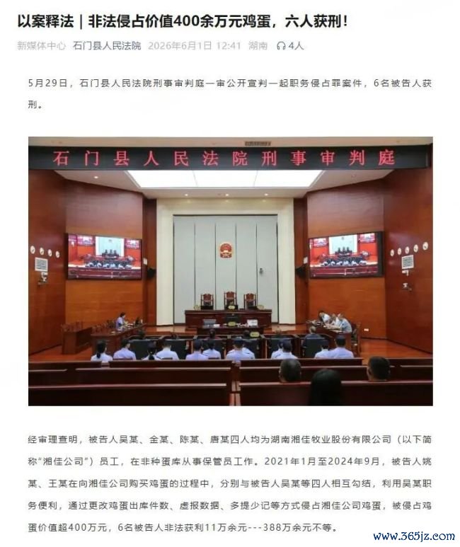 上市公司价值400万鸡蛋去哪了?
