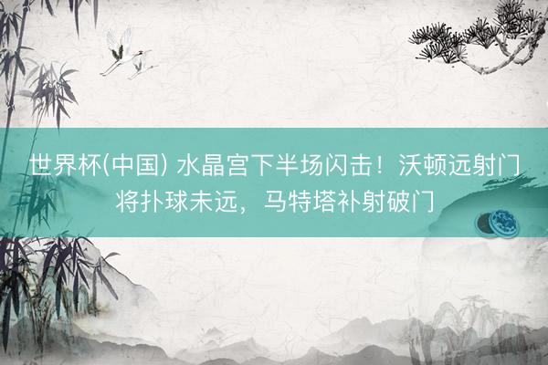 世界杯(中国) 水晶宫下半场闪击！沃顿远射门将扑球未远，马特塔补射破门