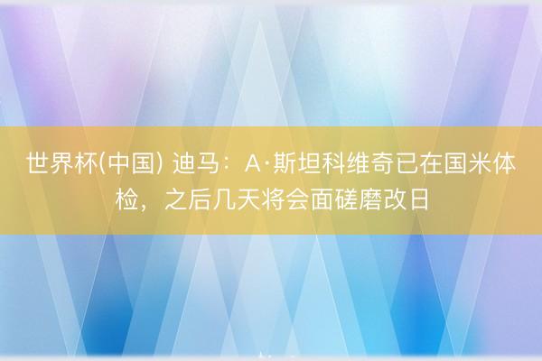 世界杯(中国) 迪马：A·斯坦科维奇已在国米体检，之后几天将