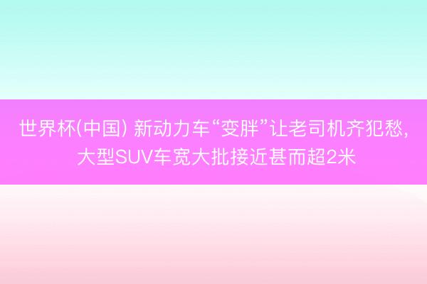 世界杯(中国) 新动力车“变胖”让老司机齐犯愁， 大型SUV车宽大批接近甚而超2米