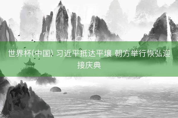 世界杯(中国) 习近平抵达平壤 朝方举行恢弘迎接庆典