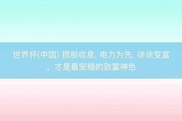世界杯(中国) 攒股收息, 电力为先: 徐徐变富。才是最安稳的致富神色