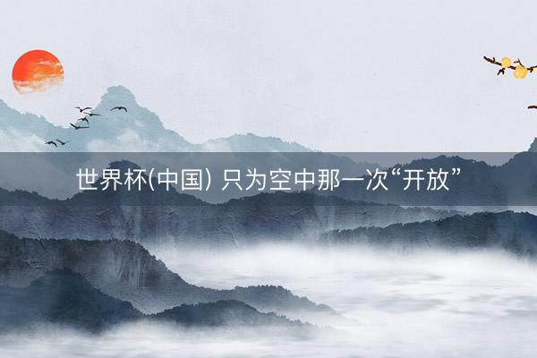 世界杯(中国) 只为空中那一次“开放”