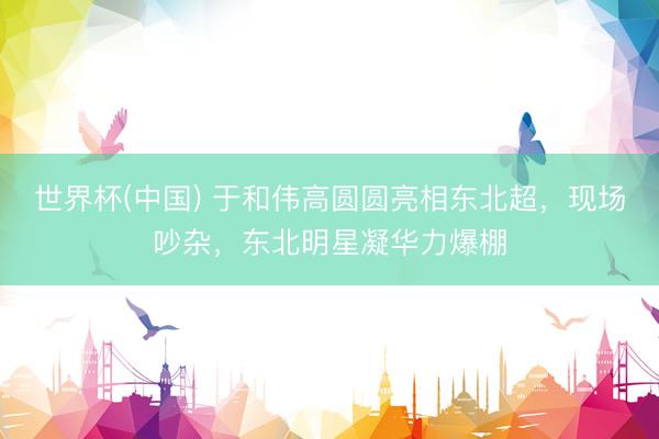 世界杯(中国) 于和伟高圆圆亮相东北超，现场吵杂，东北明星凝华力爆棚