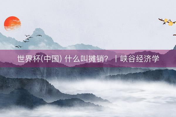 世界杯(中国) 什么叫摊销？丨峡谷经济学