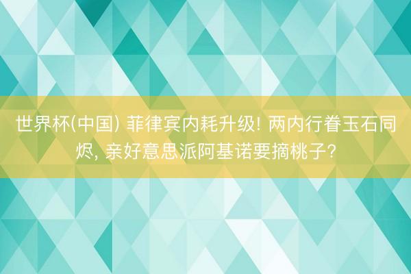世界杯(中国) 菲律宾内耗升级! 两内行眷玉石同烬， 亲好意思派阿基诺要摘桃子?